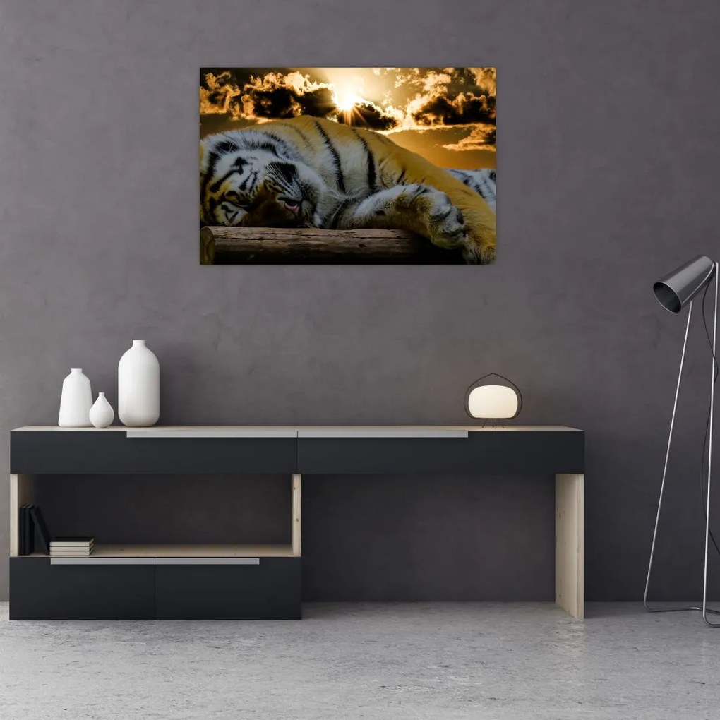 Tablou tigrul dormind (90x60 cm)