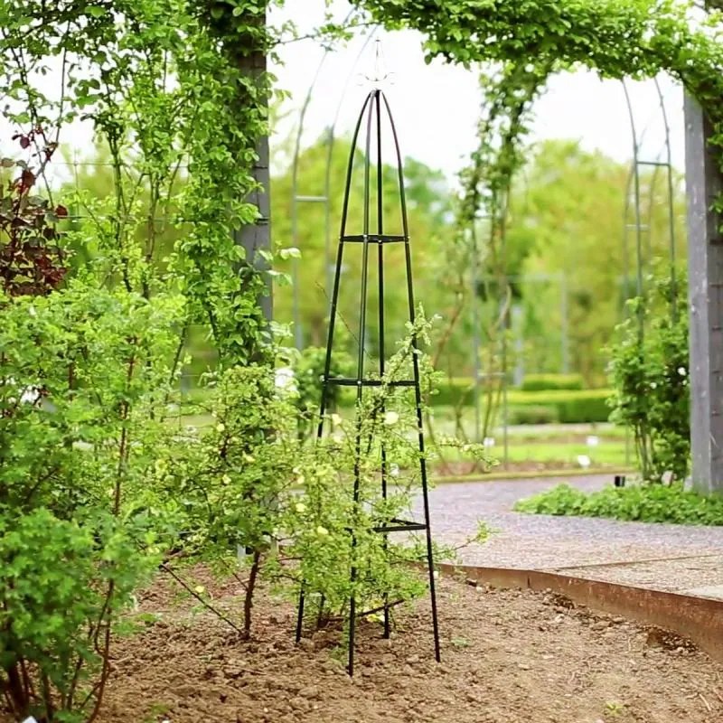 JAKS Pergola de gradina piramida 31 X 31 X 200 cm