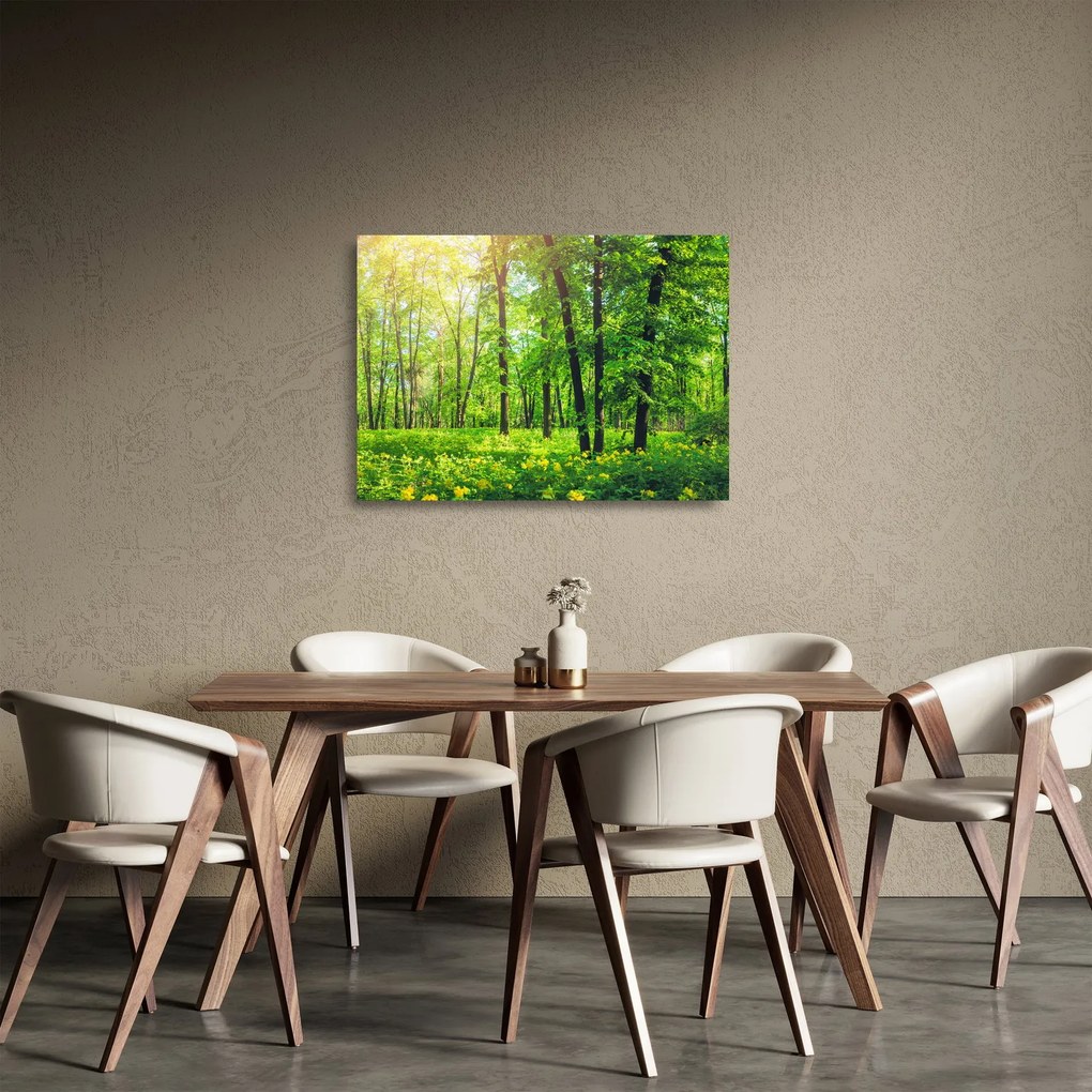 Tablou pe sticlă - Pădurea cu frunze de primăvară (70x50 cm)