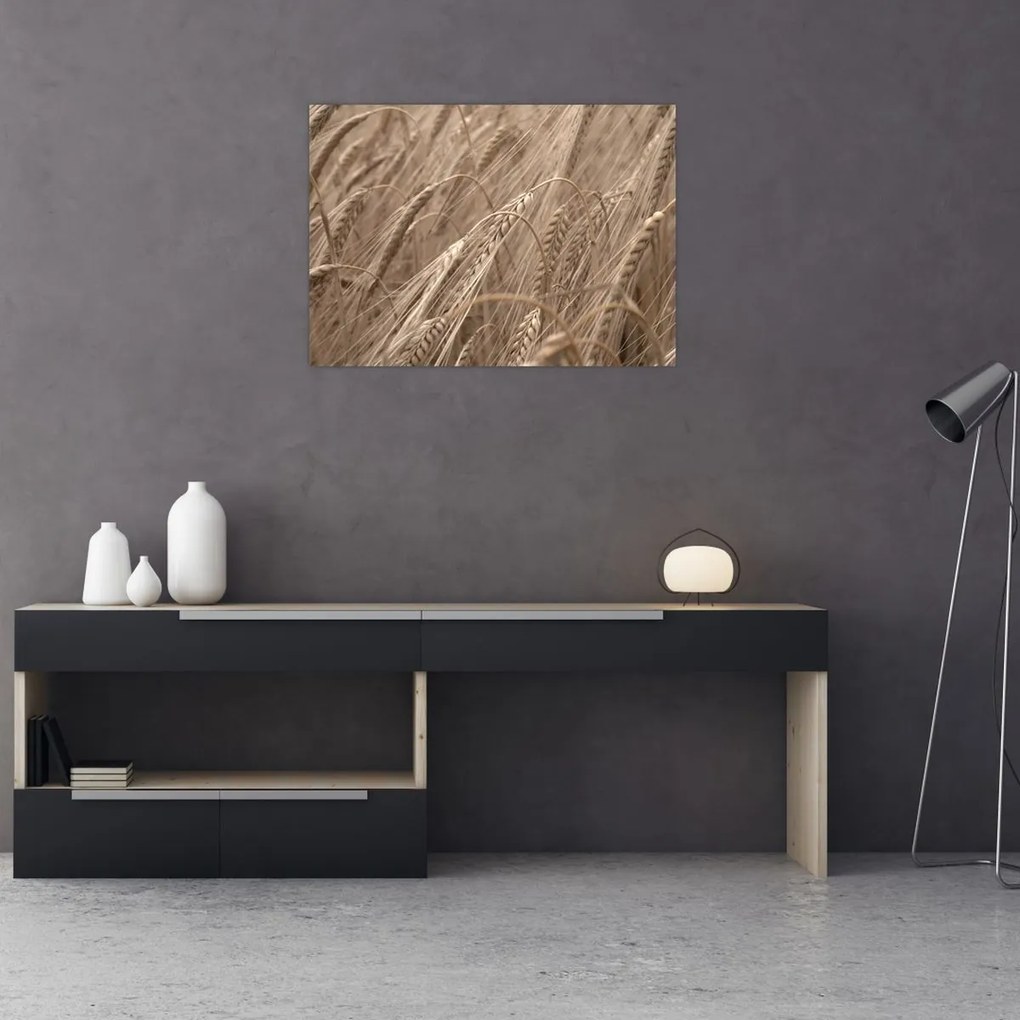 Tablou - Câmpul de aur (70x50 cm)