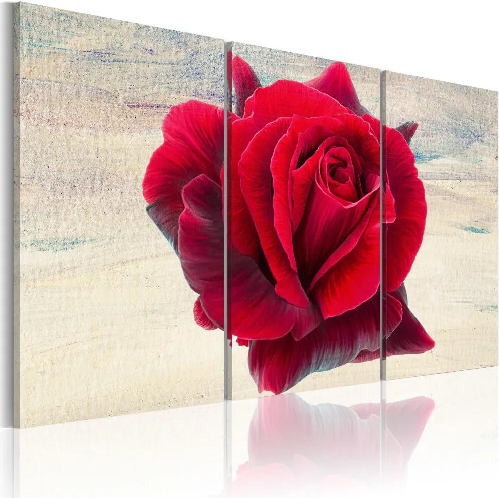 Tablou Bimago - Lyrical rose 60x40 cm