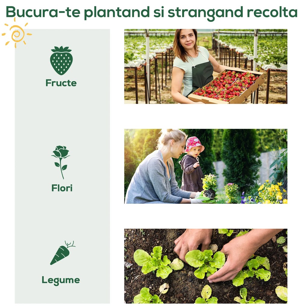 Outsunny sera de gradina, pentru plante, legume , fructe, protectia plantelor 80x49x160cm, verde | Aosom Romania