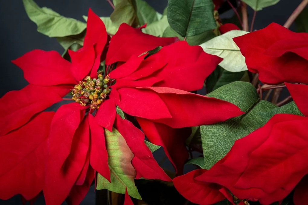 Aranjament floral mare decor festiv design LUX ALICE RED STAR H-105cm