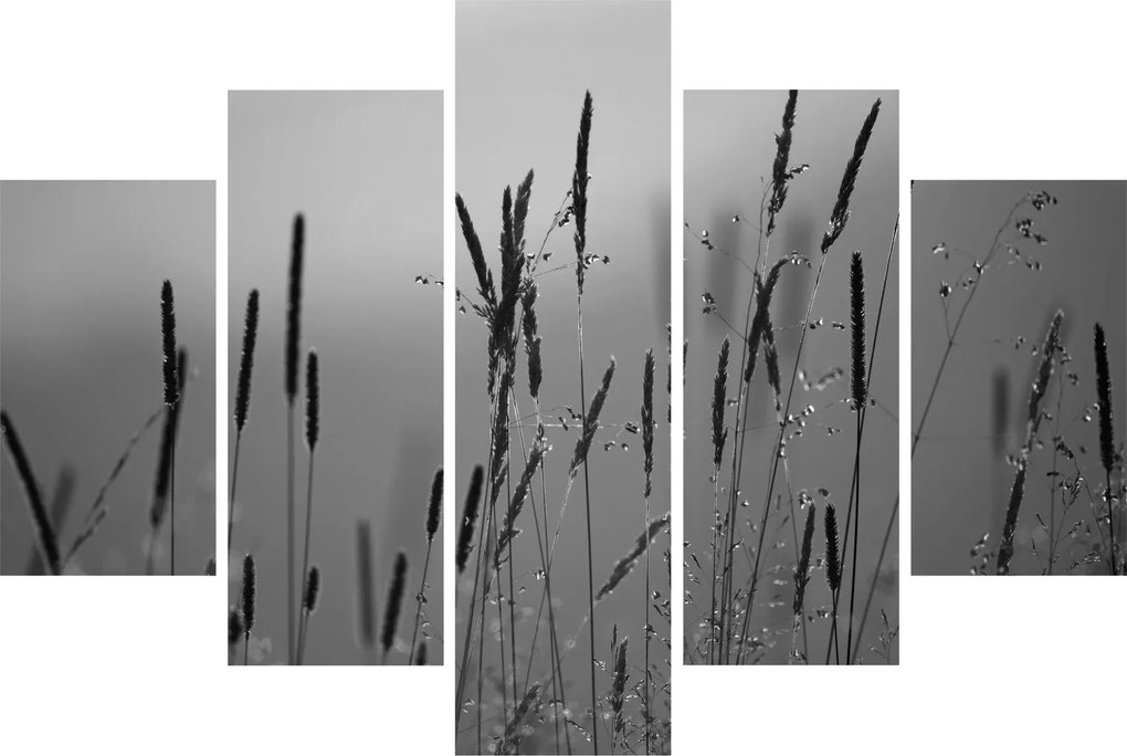 Tablou - Lamele de iarbă (150x105 cm)