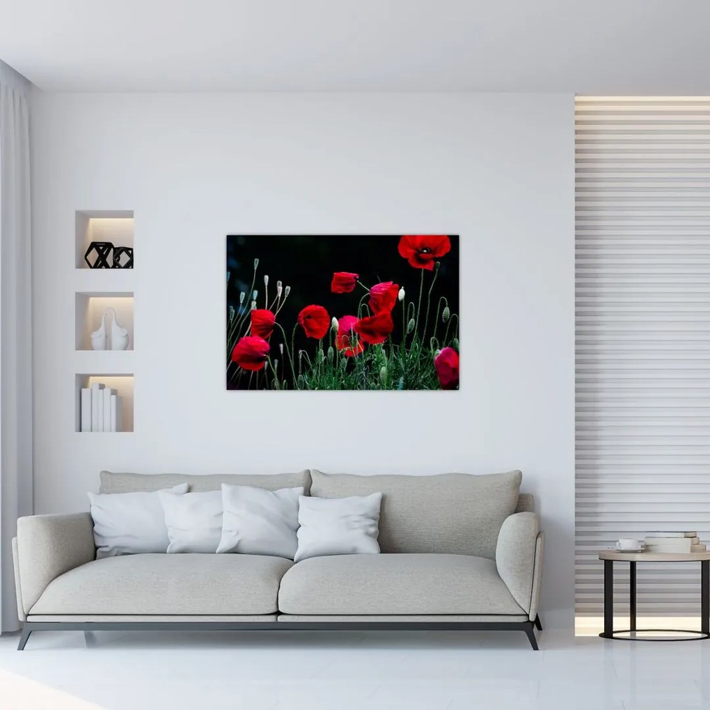 Tablou - Dansul macilor (90x60 cm)