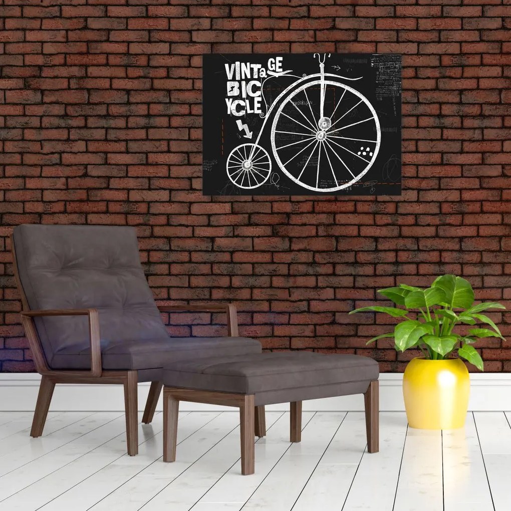 Tablou - Velociped (70x50 cm)