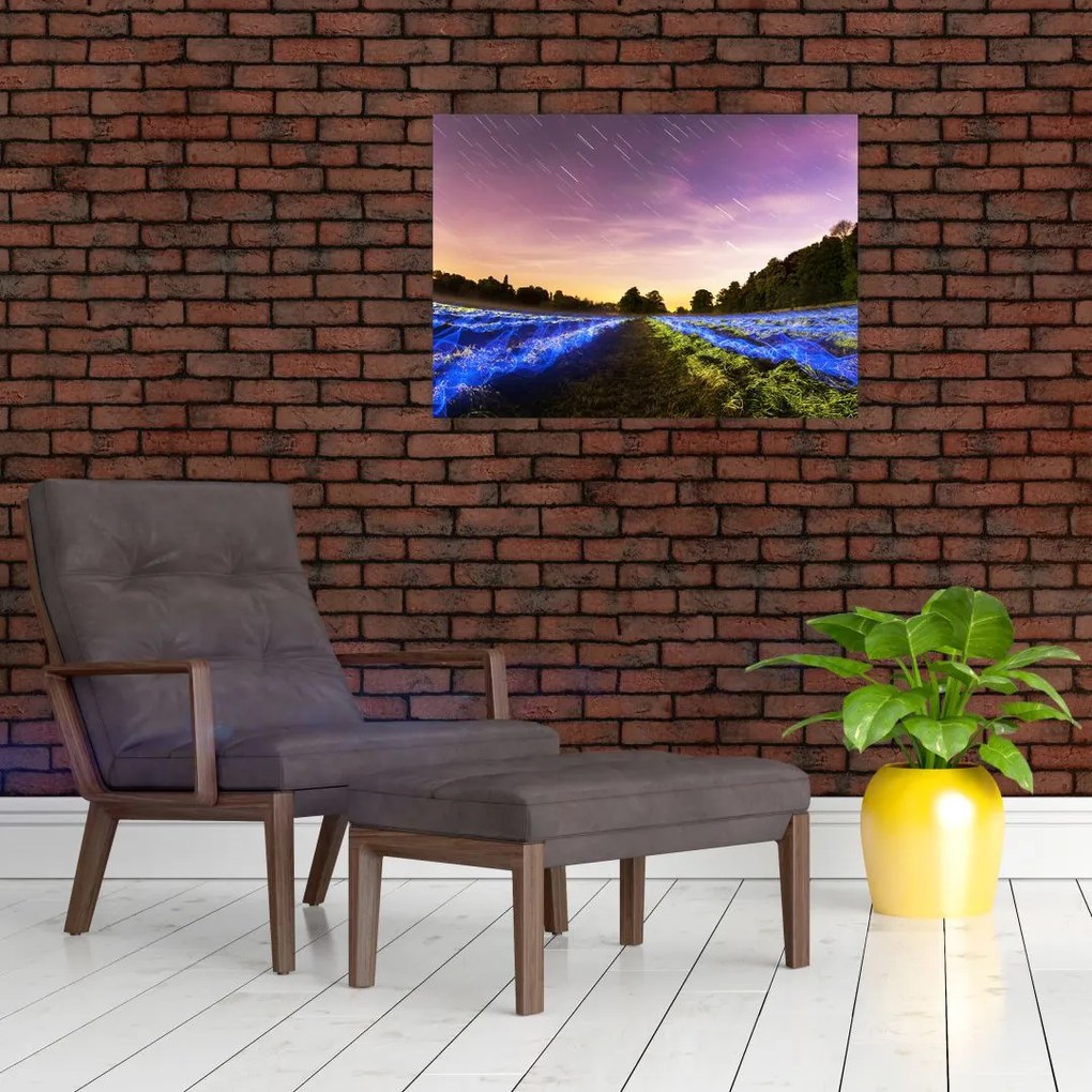 Tablou cu câmp colorat (70x50 cm)