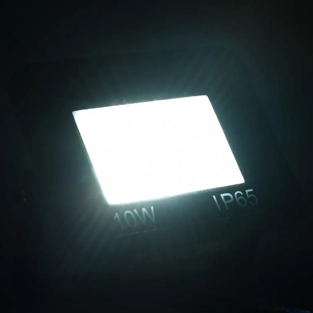 Proiector cu LED, 10 W, alb rece Alb rece, 1, 10 w, 1