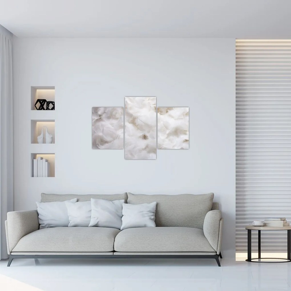 Tablou - Pene albe (90x60 cm)