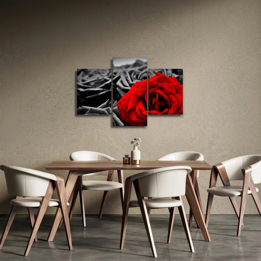 Tablou - Flori de trandafir (90x60 cm)