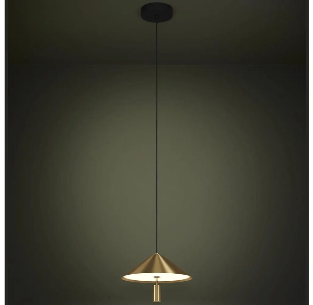 Lustră LED pe cablu Eglo 390271 PARAGUAY LED/12W/230V 3000K auriu