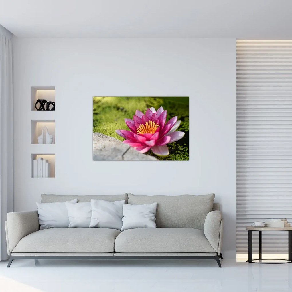Tablou - Lotus (90x60 cm)