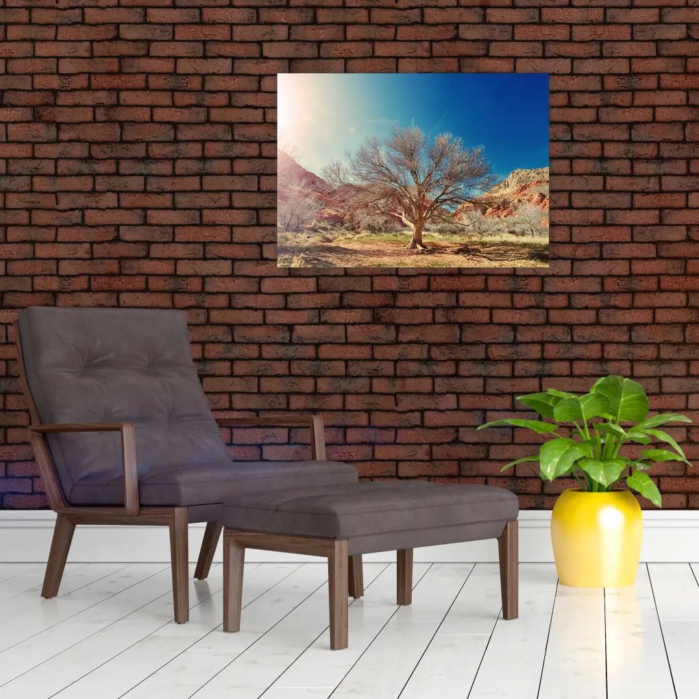 Tablou cu cu copac în deșert (70x50 cm)