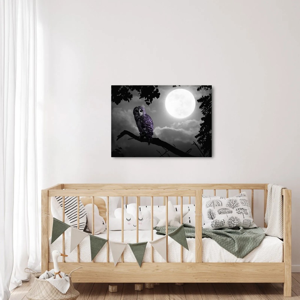 Tablou - Bufniță de noapte, bufniță mov (70x50 cm)