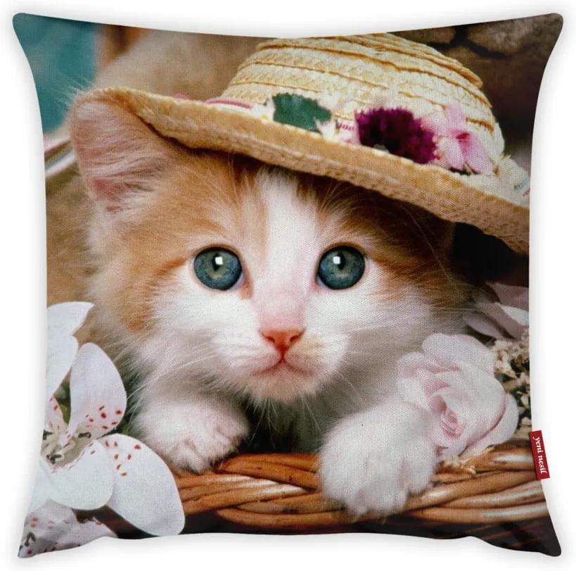 Față de pernă Vitaus Cute Kitten, 43 x 43 cm