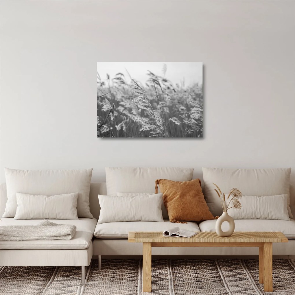 Tablou pe sticlă - Iarba în vânt (70x50 cm)
