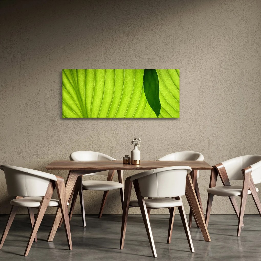 Tablou - Detaliu de frunză verde (120x50 cm)