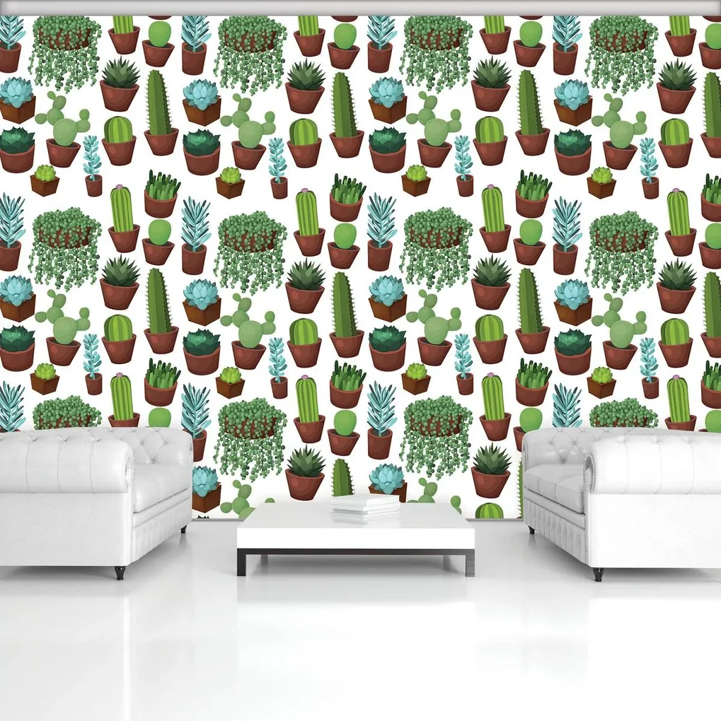 Fototapet - Cactus (254x184 cm)