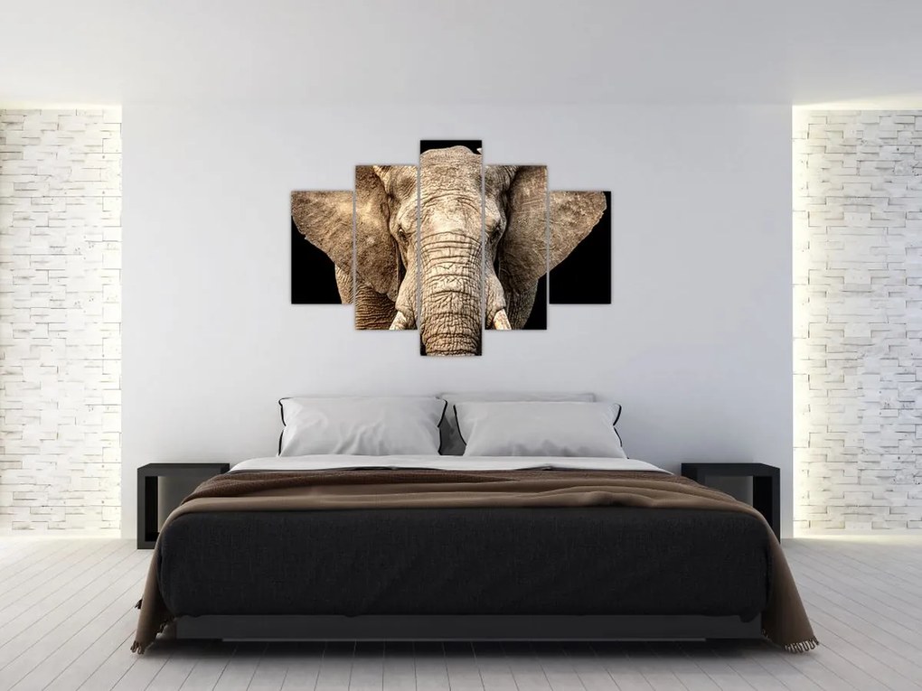 Tablou - Elefant african (150x105 cm)