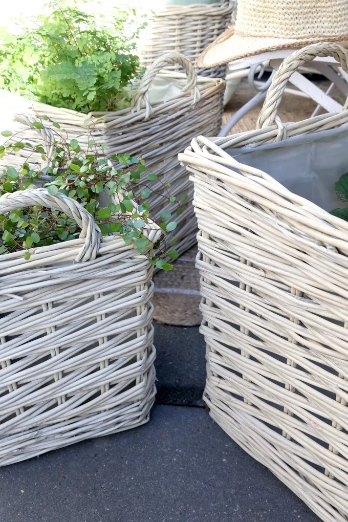 Set 3 Ghivece French Basket, Kalathi