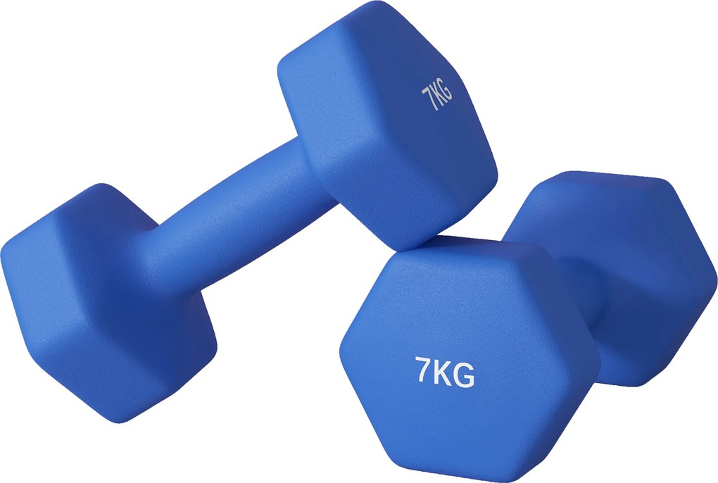 SPORTNOW Set de 2 Greutăți Hexagonale, Set de Gantere cu Prindere Antiderapantă pentru Antrenament Acasă, 24x9x9 cm, Albastru | Aosom Romania