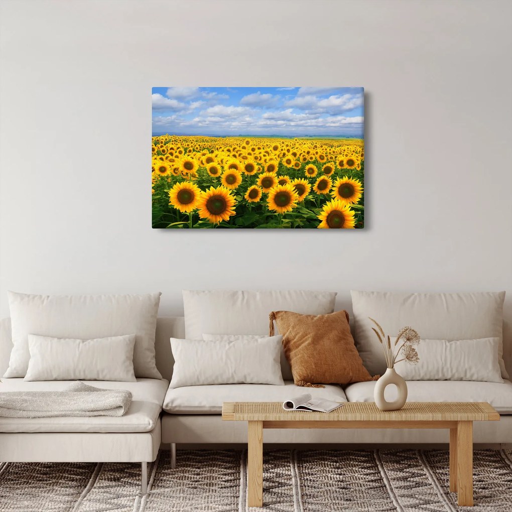 Tablou cu lan de floarea soarelui (90x60 cm)
