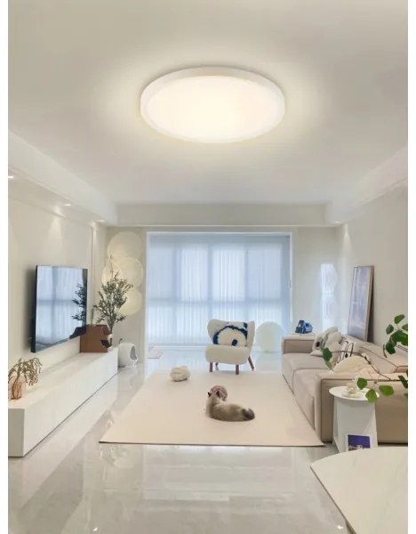 Plafonieră LED RGB dimabilă Immax NEO 07169-W60 TUDO 65W/230V Wi-Fi Tuya + telecomandă