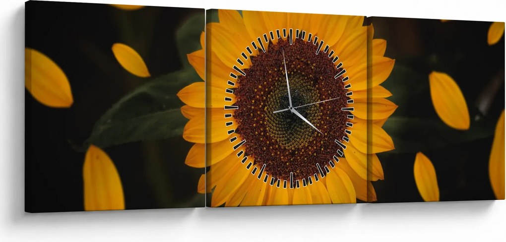 Tablou - Floarea soarelui și petale (cu ceas) (90x30 cm)