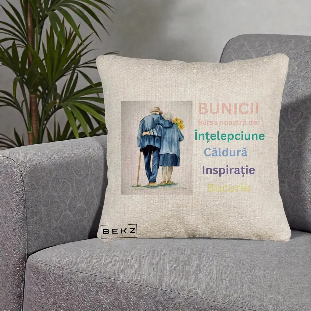 Cadou pentru Bunici - Perna Personalizata Bunicii Sursa Intelepciune Caldura Acuarela, 40x40 cm, Bej Canapea, Husa Detasabila, Perna Inclusa, BEKZ®