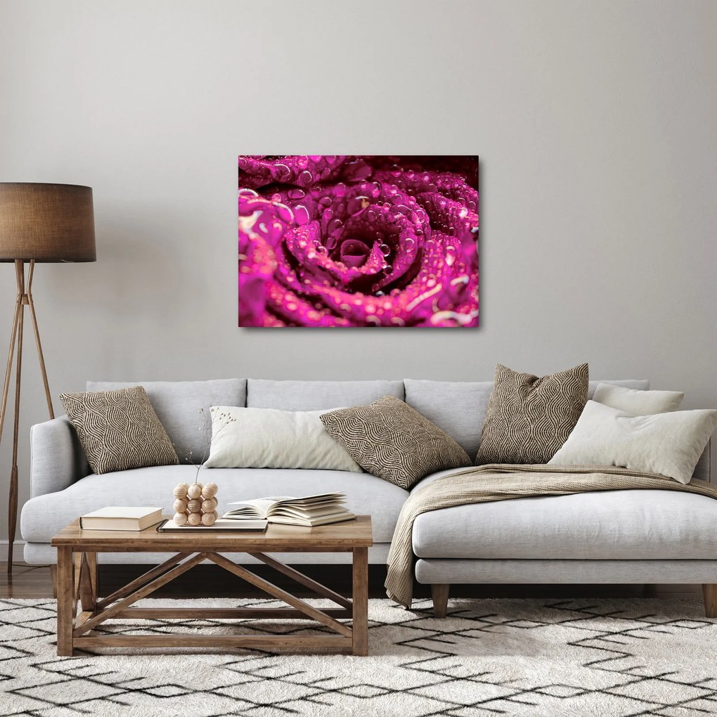 Tabloul cu floarea trandafirului roz (70x50 cm)