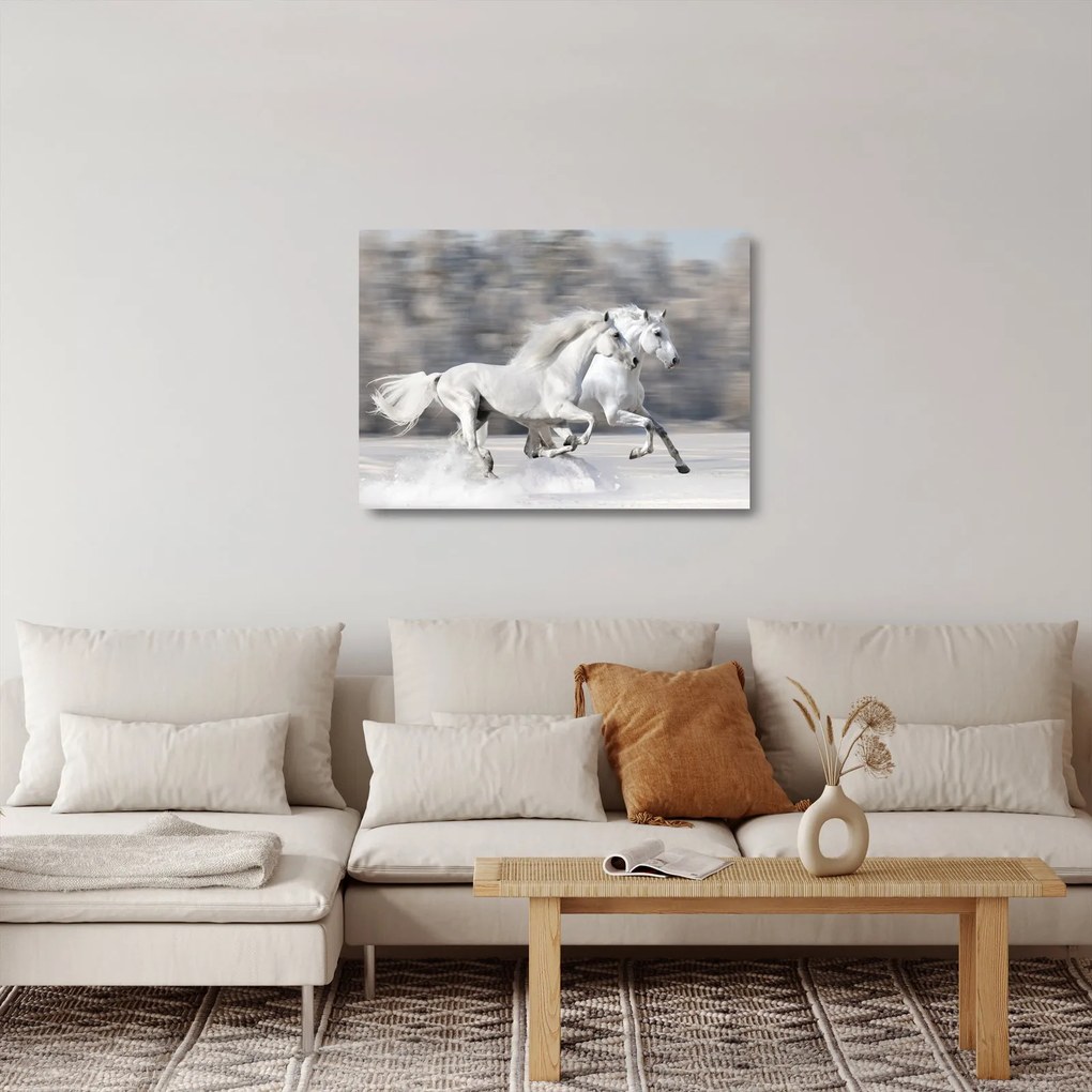 Tablou pe sticlă - Cai albi în timpul iernii (70x50 cm)