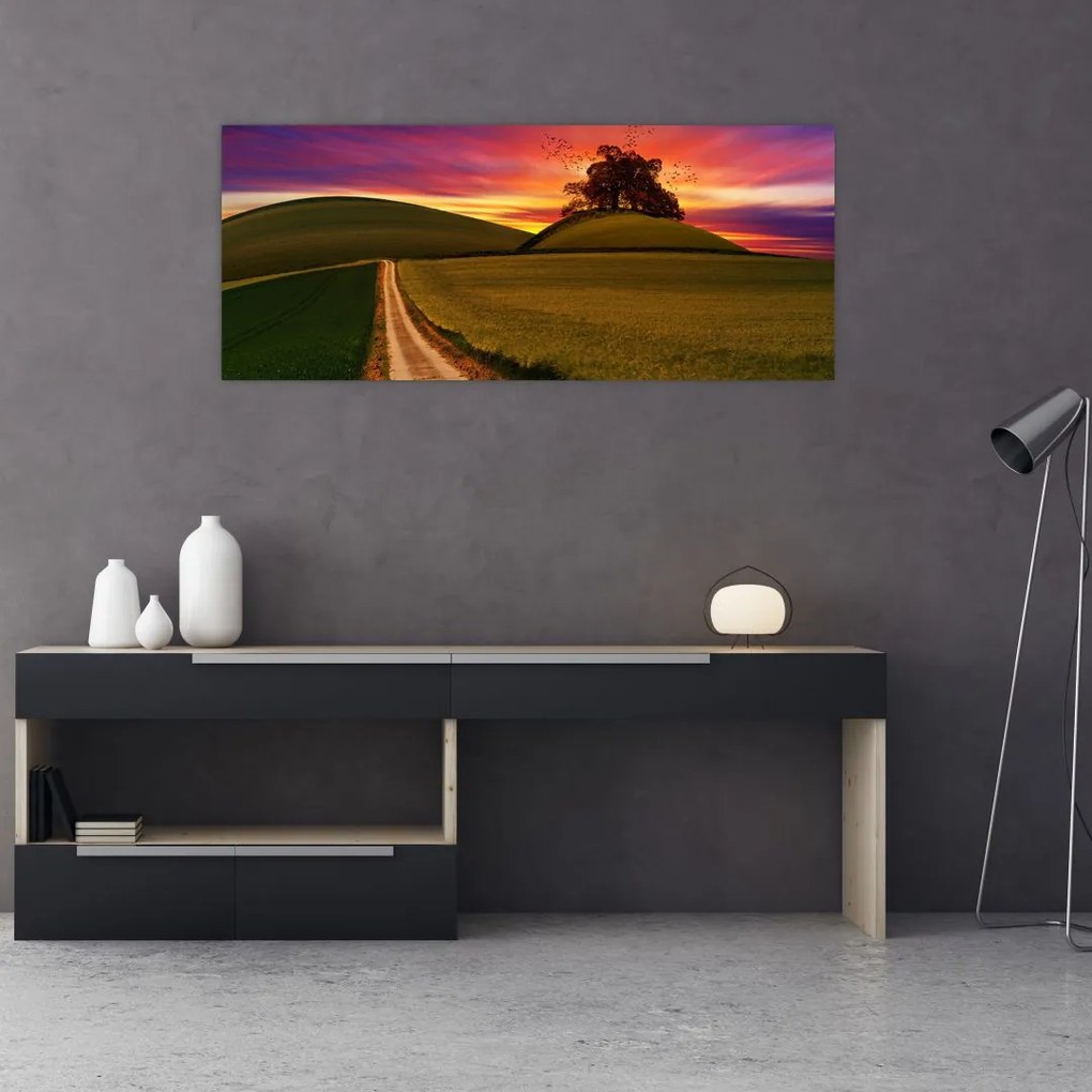 Tablou câmpului cu apus de soare (120x50 cm)