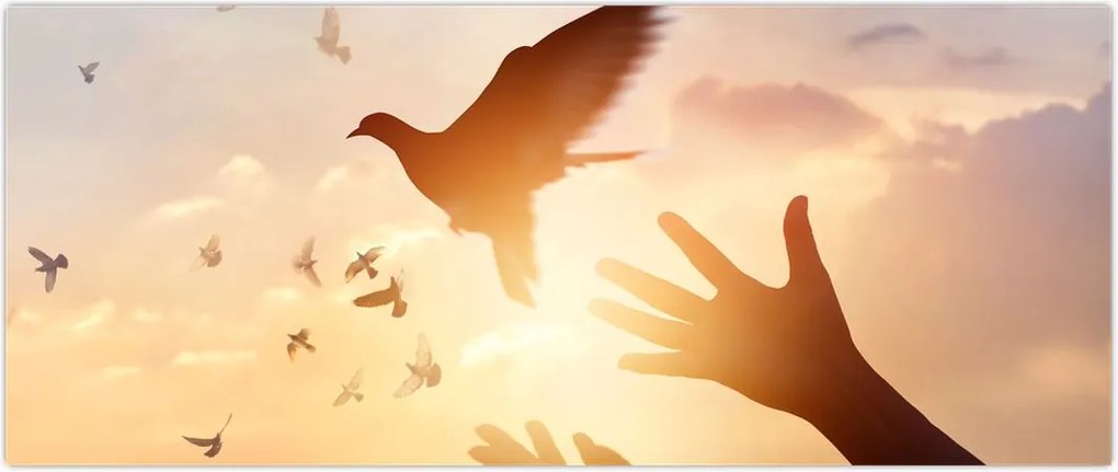 Tablou - Porumbițo, zboară! (120x50 cm)