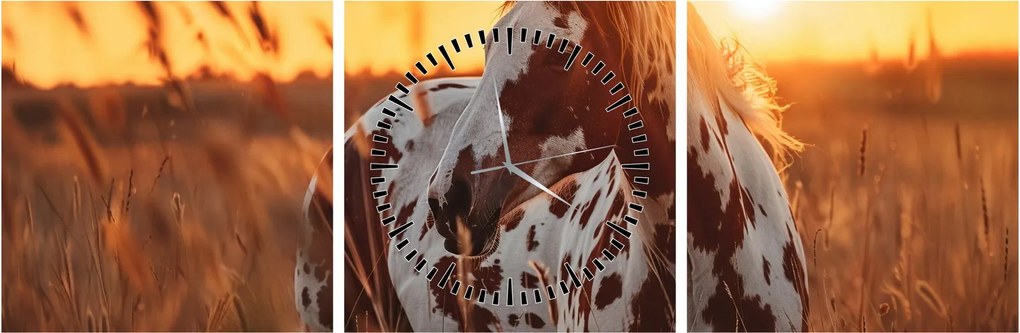 Tablou - Cal la Apus (cu ceas) (90x30 cm)
