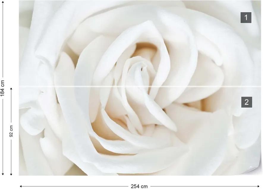 Fototapet GLIX - Soft White Rose + adeziv GRATUIT Tapet nețesute - 254x184 cm