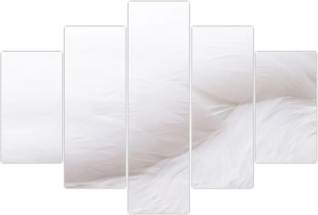 Tablou - Detalii pene (150x105 cm)