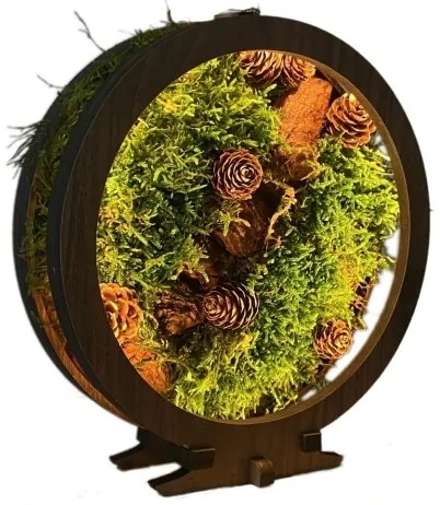 Li-Go 23654 - Decorațiune de masă LED dimabilă LED/12W/230V 20x22 cm mușchi