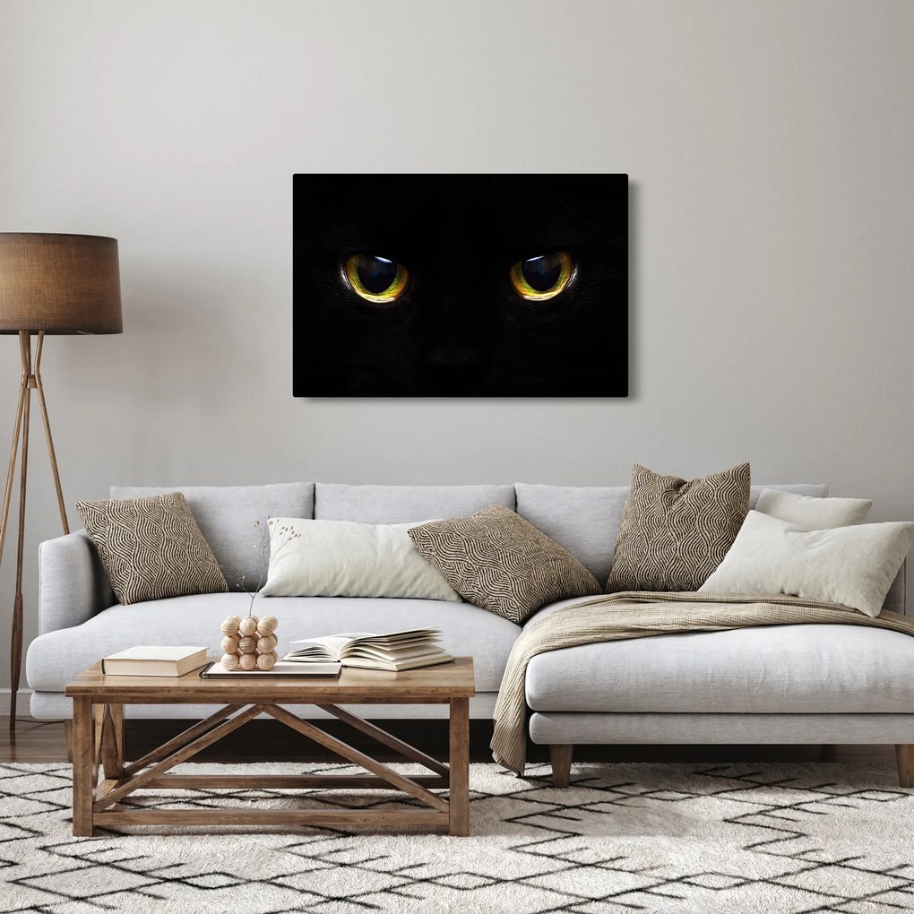 Tablou - Ochi de pisică (90x60 cm)