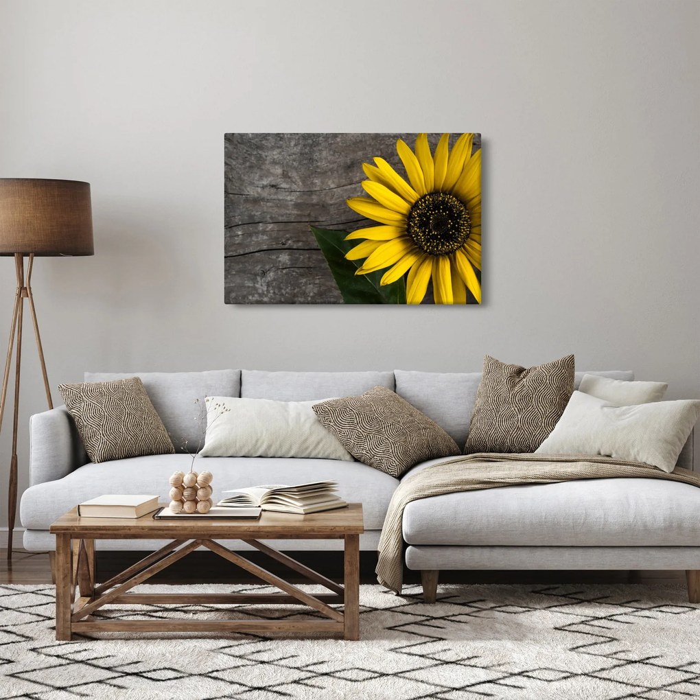 Tablou - Floare de floarea soarelui (90x60 cm)