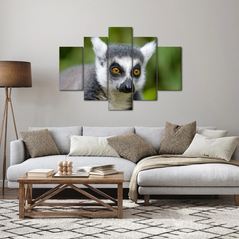 Tablou cu lemur (150x105 cm)