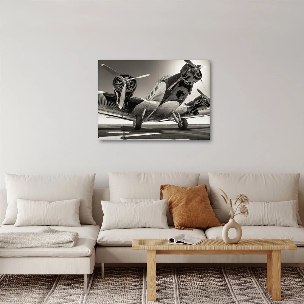 Tablou - Avioane istorice (70x50 cm)