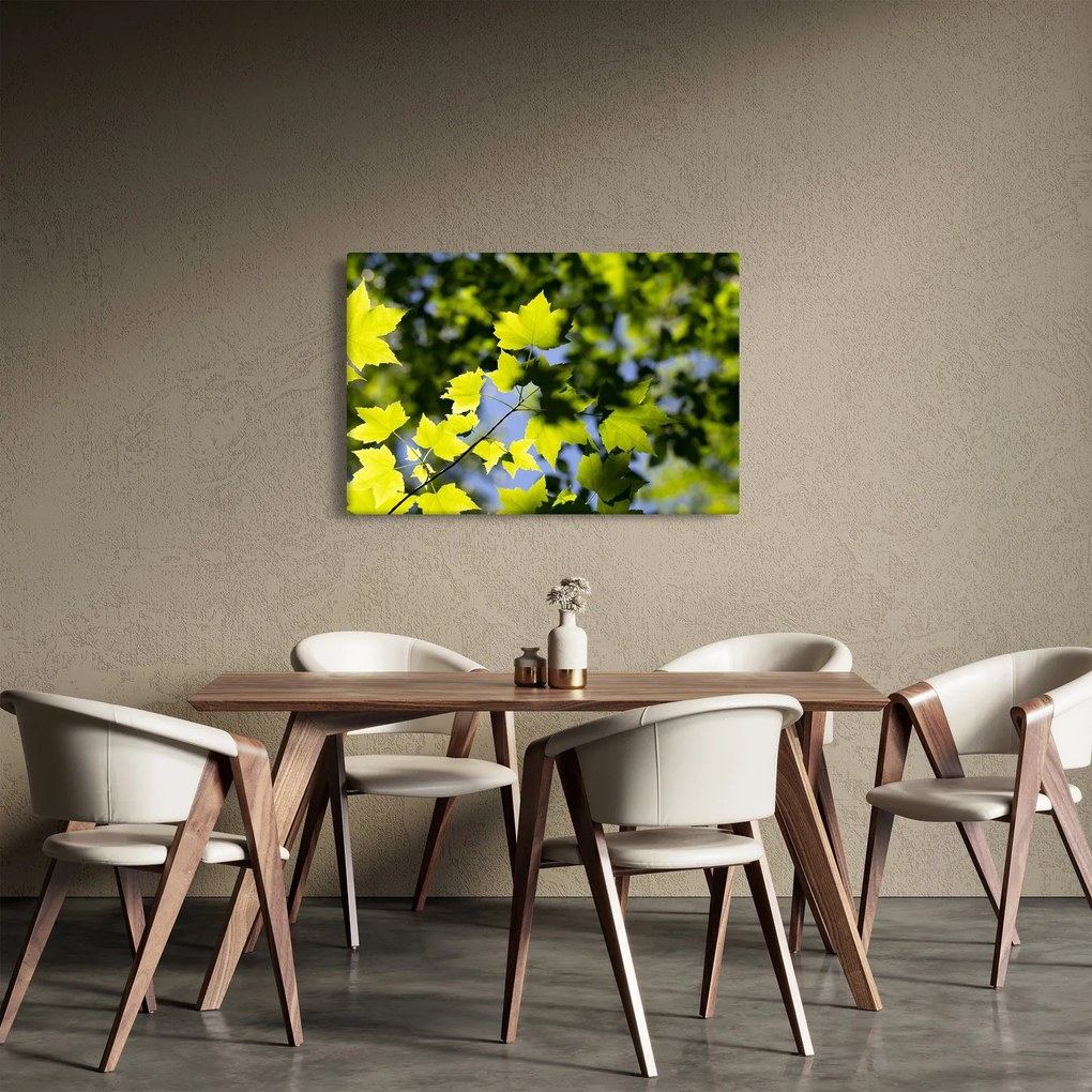 Tablou - frunze de arțar (90x60 cm)