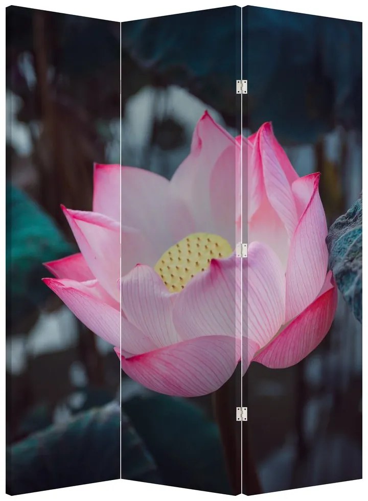 Paravan - Floare roz (126x170 cm)