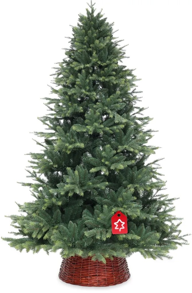 Molid de Himalaia 180 cm