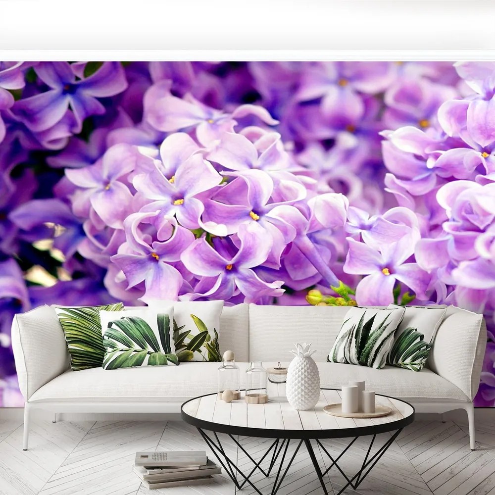 Fototapet Violet Flori