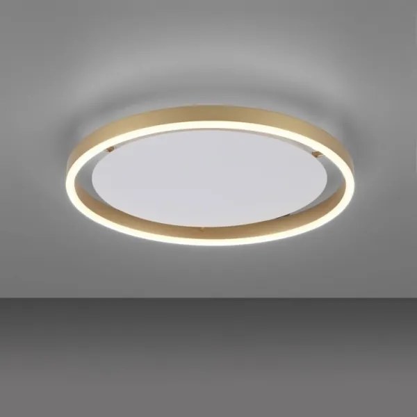 Plafonieră LED dimabilă RITUS LED/20W/230V Leuchten Direkt 15391-60