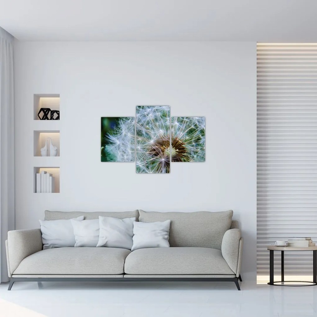 Tabloul cu păpădie desflorit (90x60 cm)