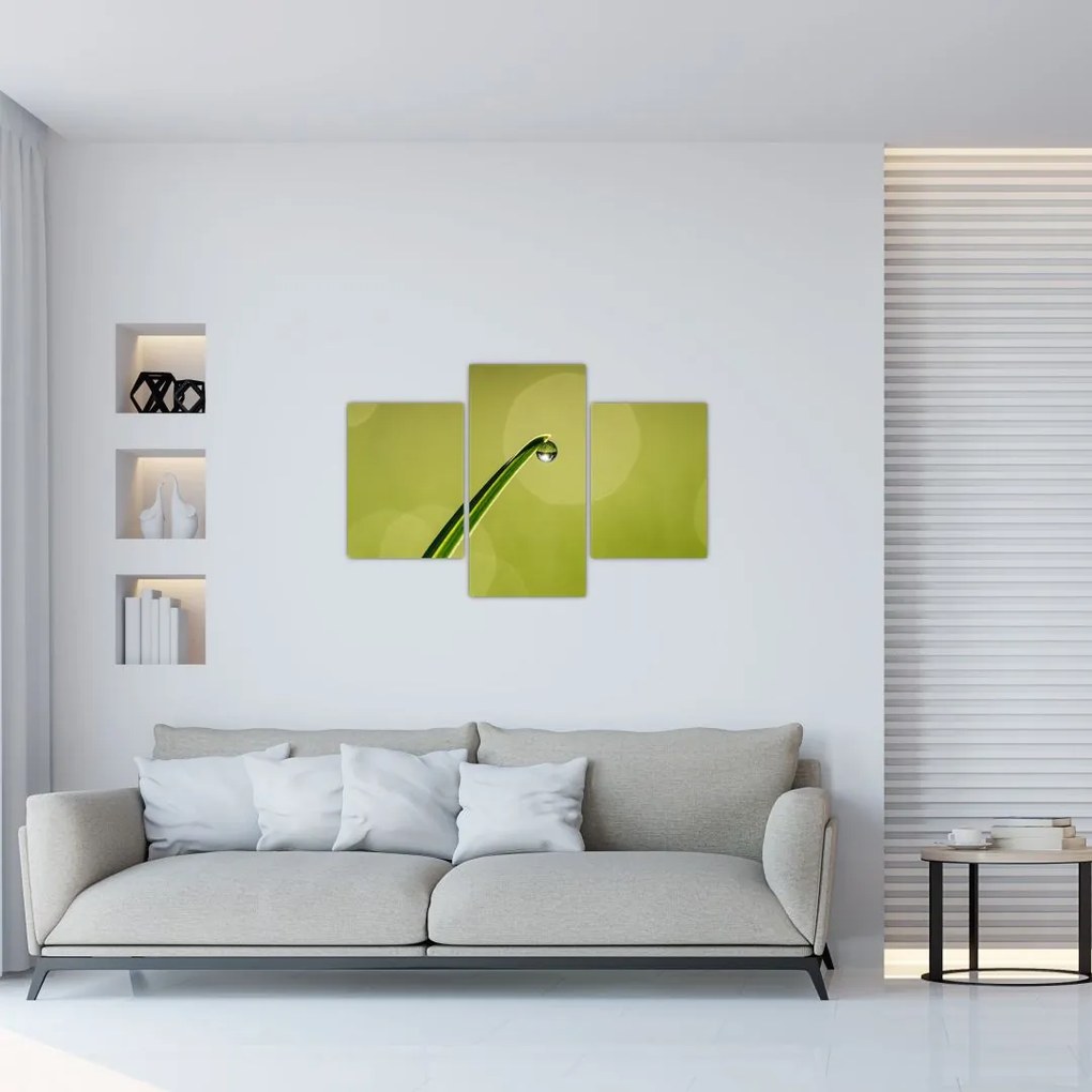 Tablou cu picătură de apă pe iarbă (90x60 cm)