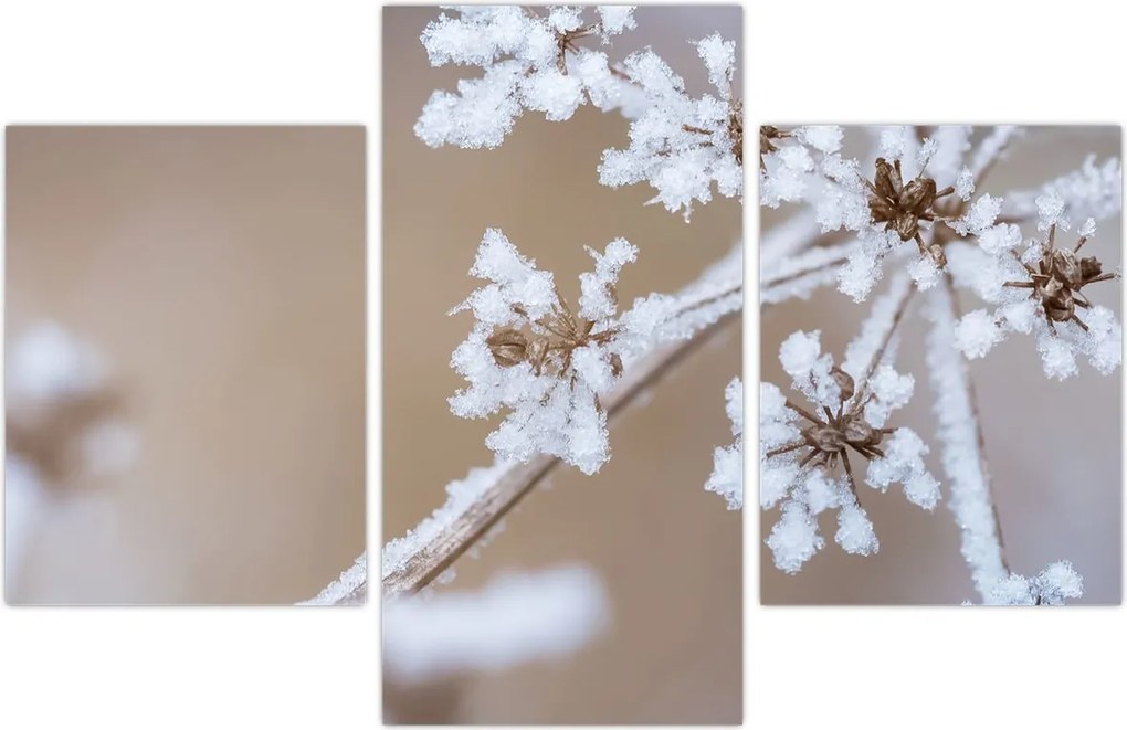 Tablou - Îngheț (90x60 cm)