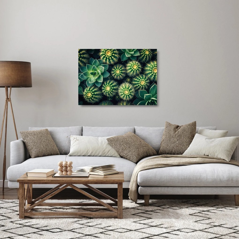 Tablou pe sticlă - Cactuși (70x50 cm)